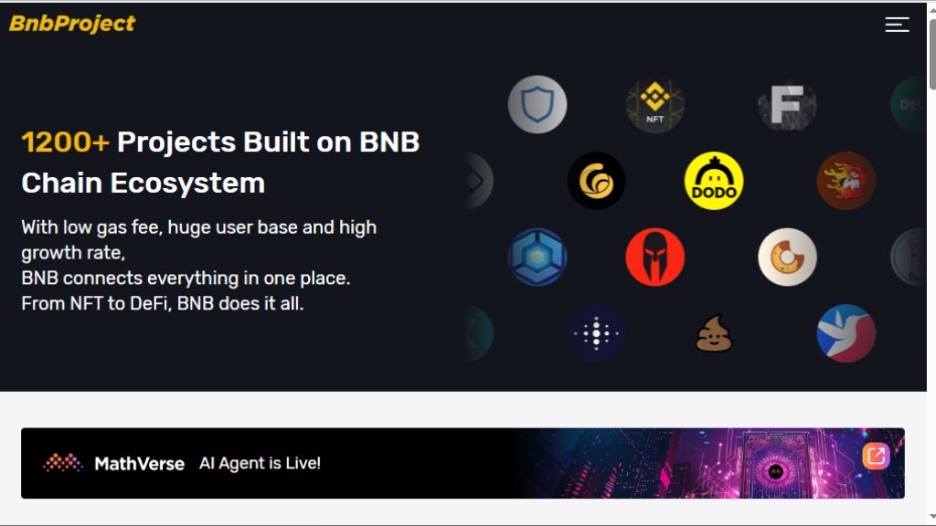 BNB Project 截图
